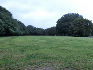 砧公園芝生の広場